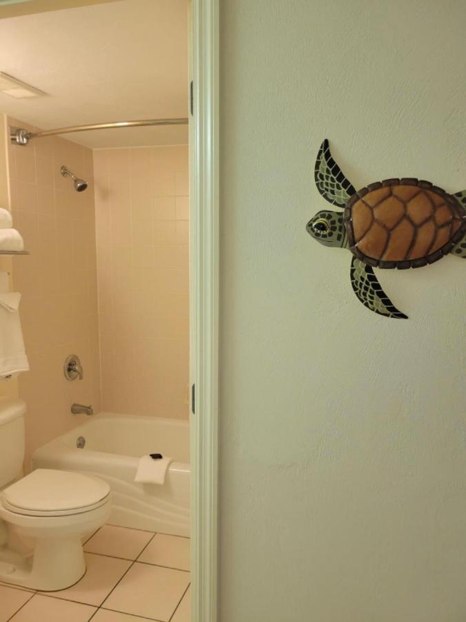 A Happy Seashell Story Aparthotel Daytona Beach Exteriör bild